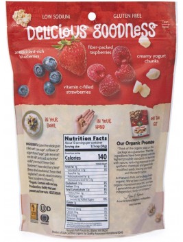 Nature's Path Smmr Berry Granola GF (8 Pack)